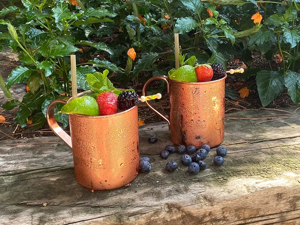 Red Berry Mule at the Torre Rosa cocktail bar